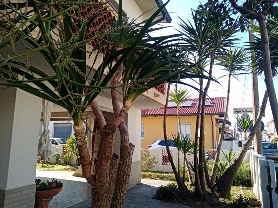 Florinda B&B Viareggio Kültér fotó