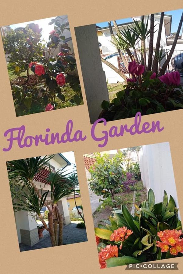 Florinda B&B Viareggio Kültér fotó